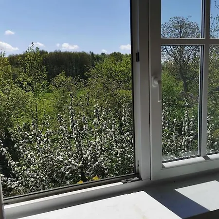 Ostseeblick Im Andersenhof Kappeln Exterior photo