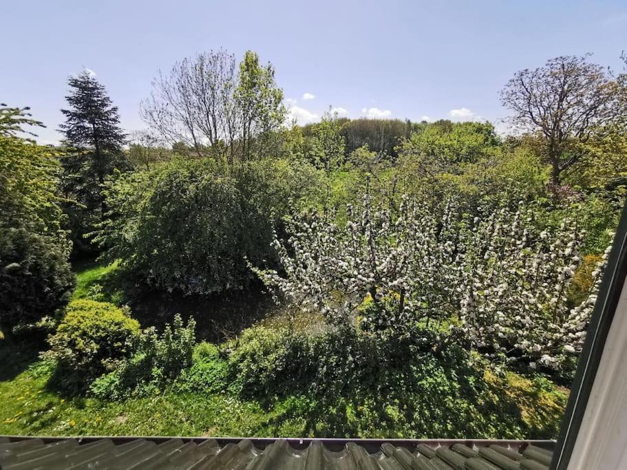 Ostseeblick Im Andersenhof * Kappeln