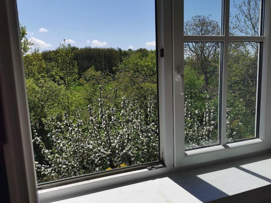 Apartment Ostseeblick Im Andersenhof *